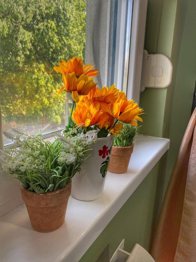 Apartman Diana Szávaszentdemeter Kültér fotó